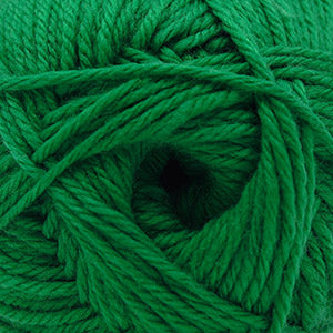 CASCADE 220 SUPERWASH MERINO - JOLLY GREEN 113