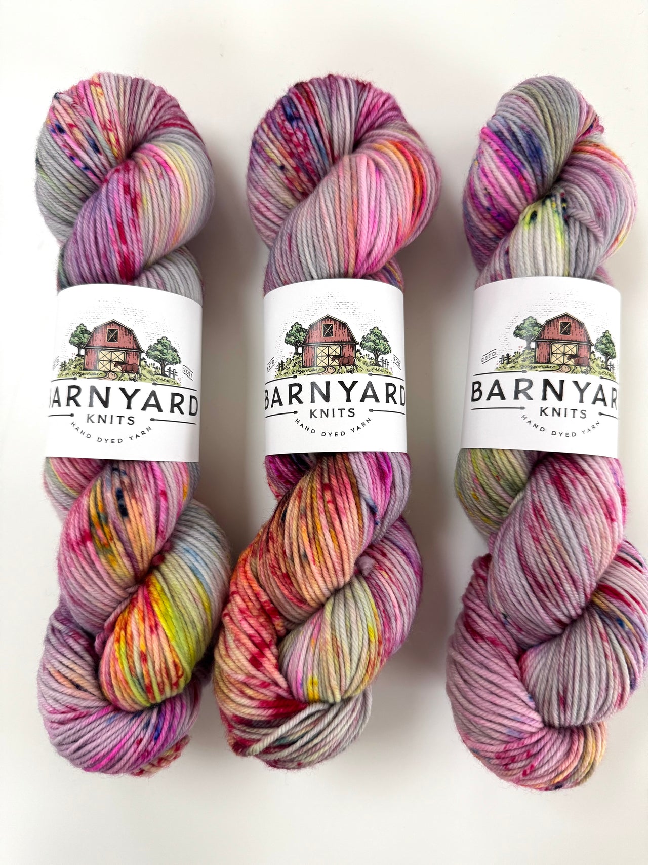 SKATING IN CENTRAL PARK DK