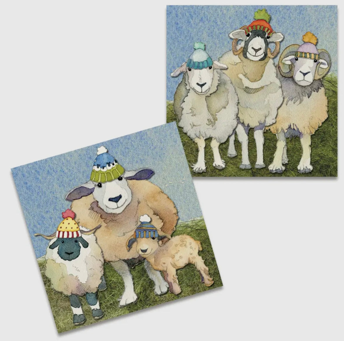HAPPY SHEEP MINI CARD PACK - EMMA BALL