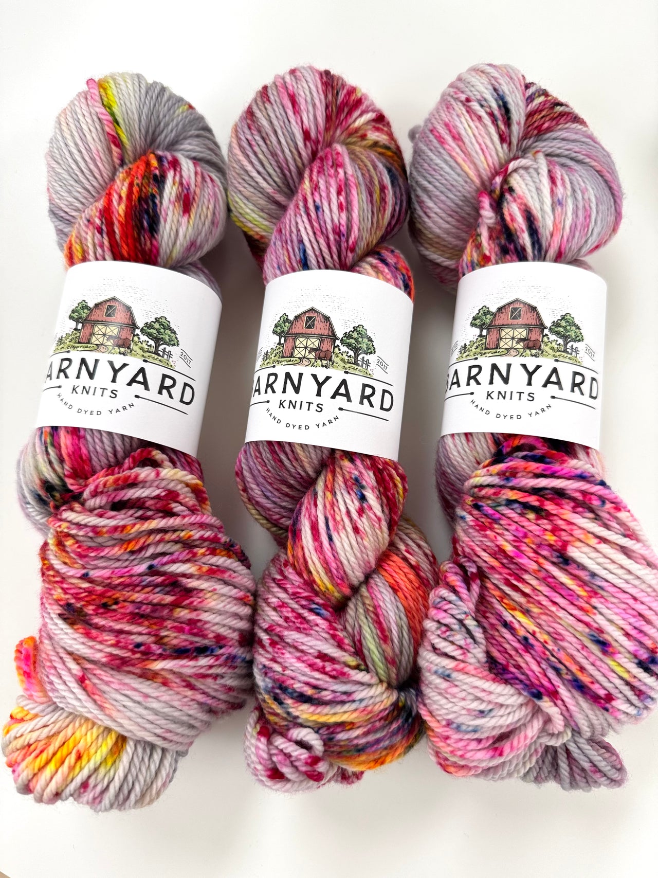 SKATING IN CENTRAL PARK ARAN