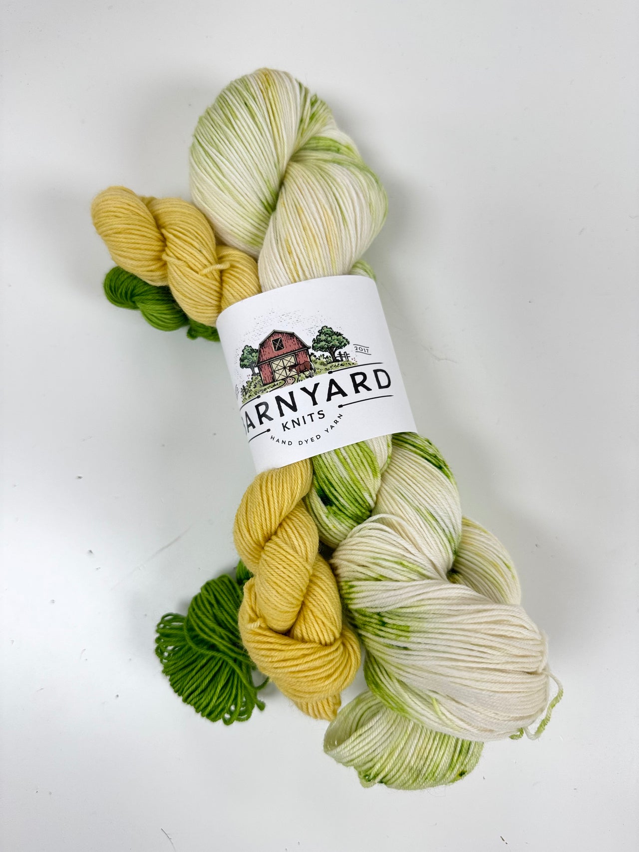 FRESH DAISIES SOCK SET