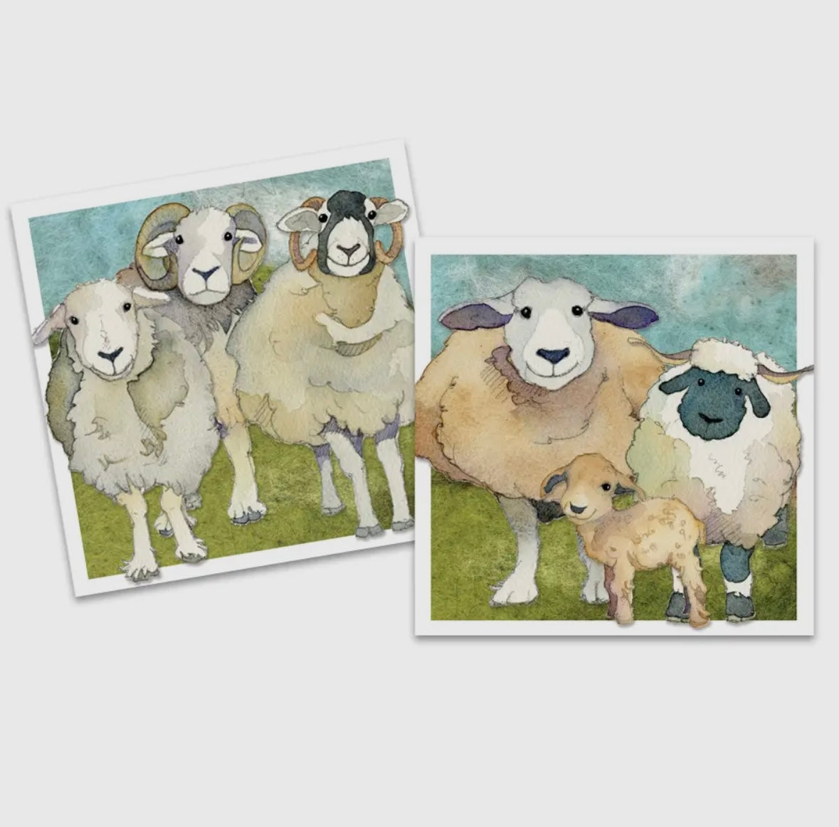 FELTED SHEEP MINI CARD PACK - EMMA BALL