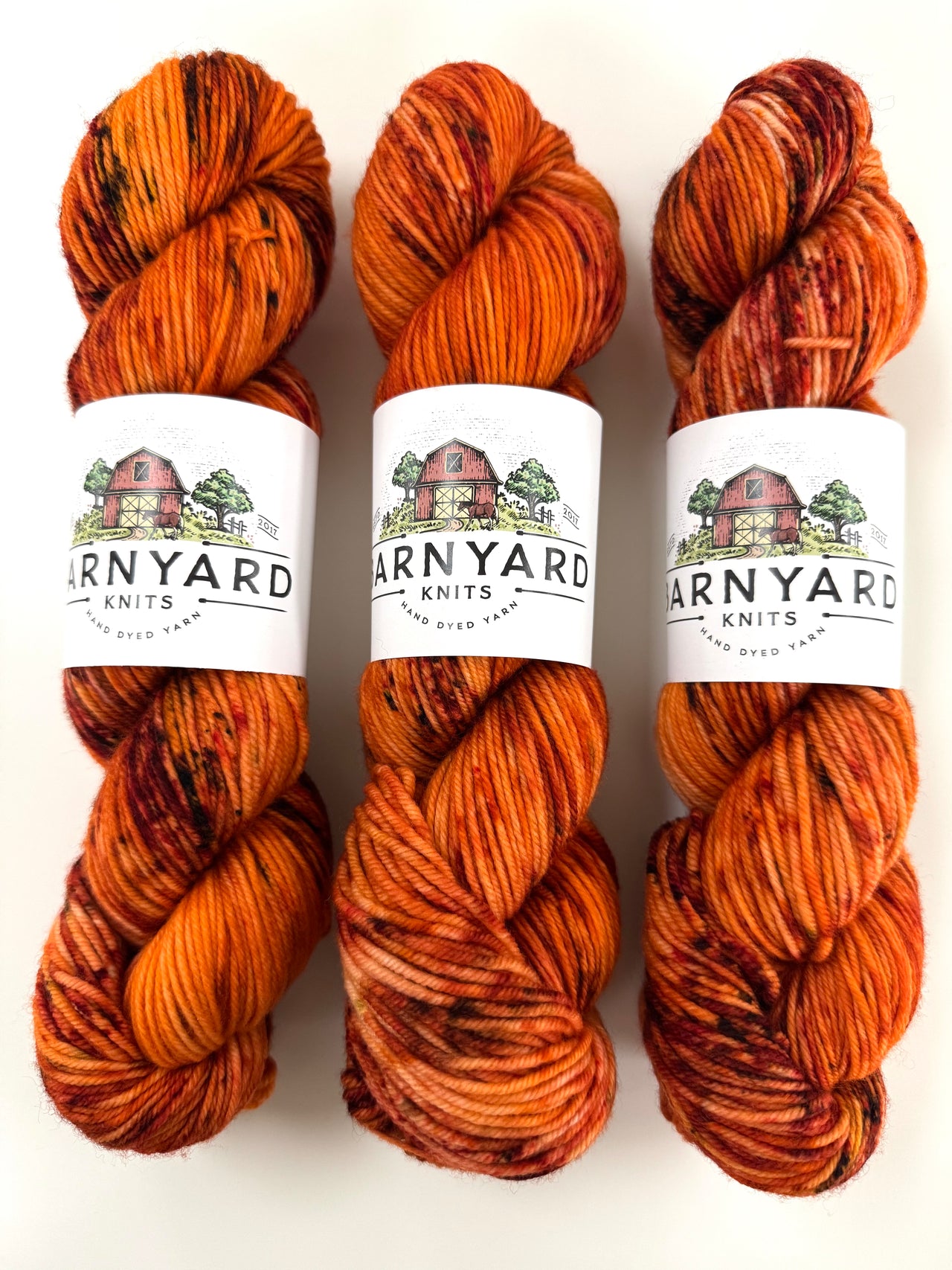 CINDERELLA PUMPKIN DK