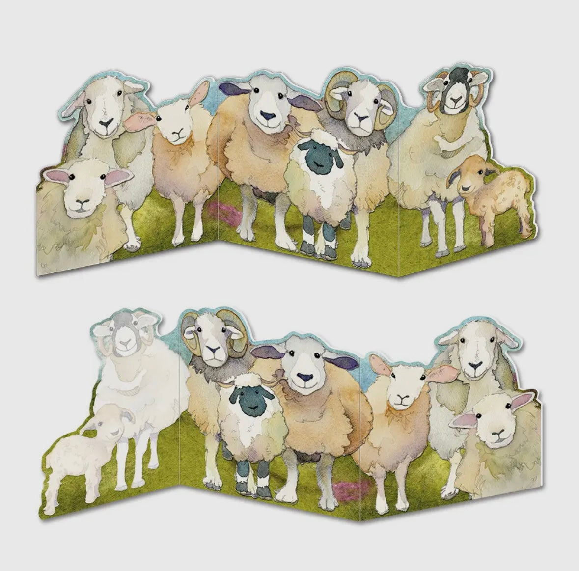 FELTED SHEEP CARD- EMMA BALL