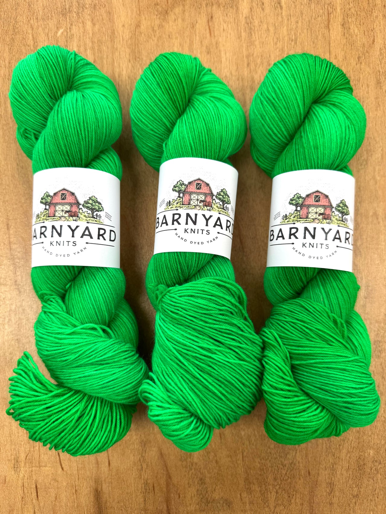 ELECTRIC CACTUS SOCK/FINGERING TONAL