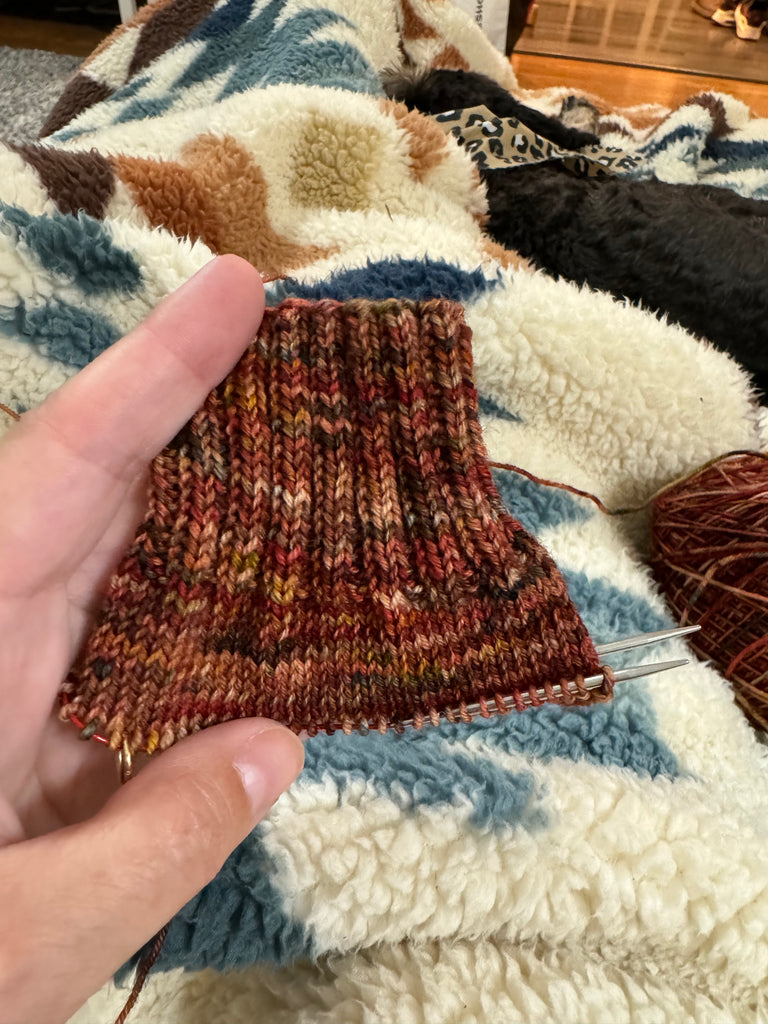 FALL VIBES SOCK/FINGERING