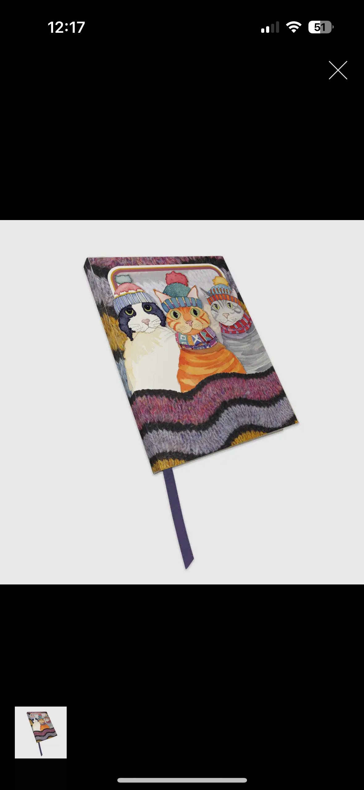 CATS IN HATS BOUND NOTEBOOK